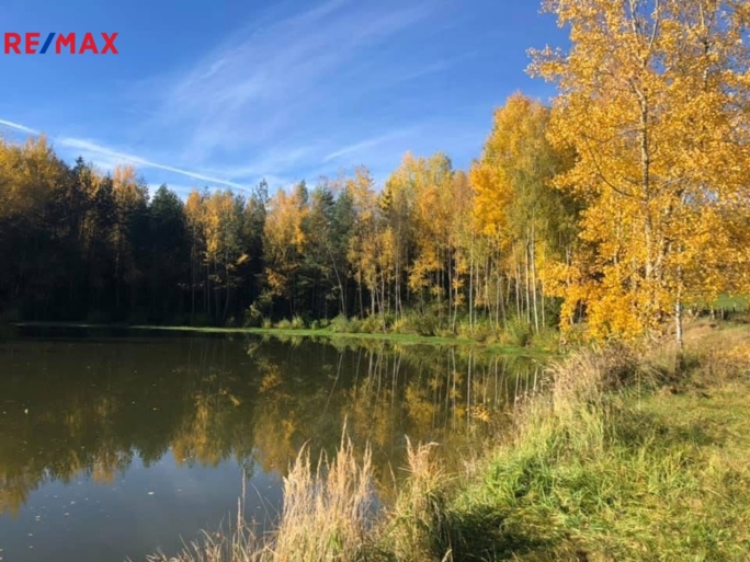 Realitní makléř Brno