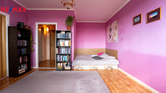 REMAX Delux
