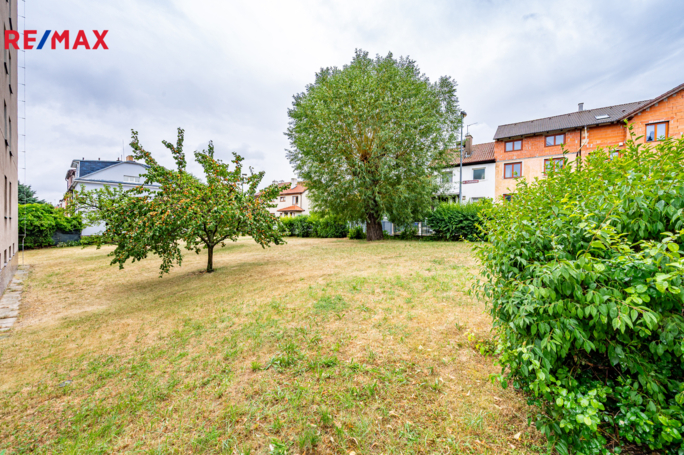 3067592.jpg 3067592.jpg