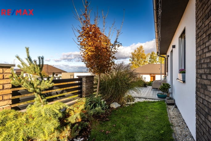 3073155.jpg 3073155.jpg