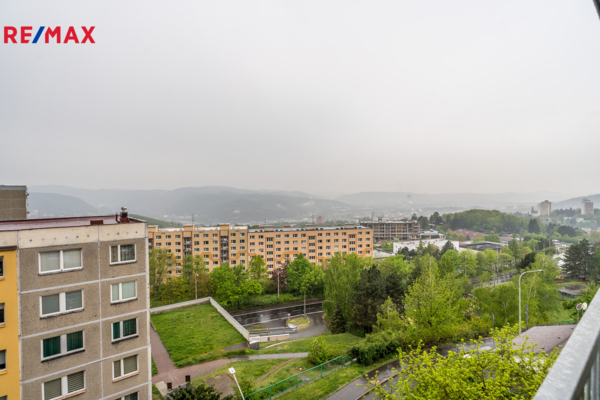 2770852.jpg