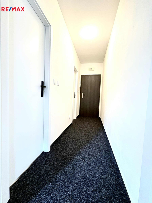 REMAX Delux