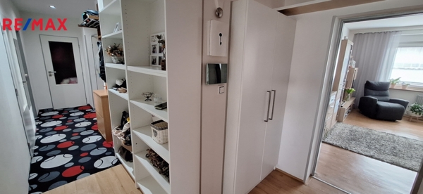 2906026.jpg