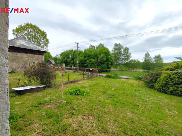 REMAX Delux