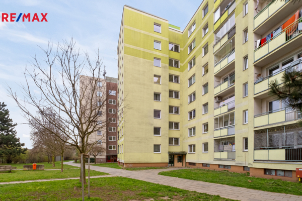 REMAX Delux