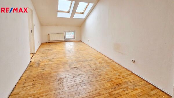 REMAX Delux