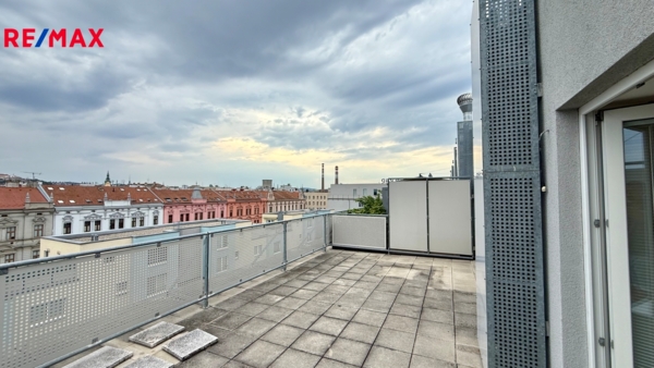 2903847.jpg