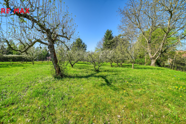 REMAX Brno