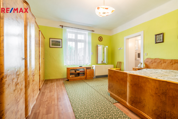 REMAX Delux