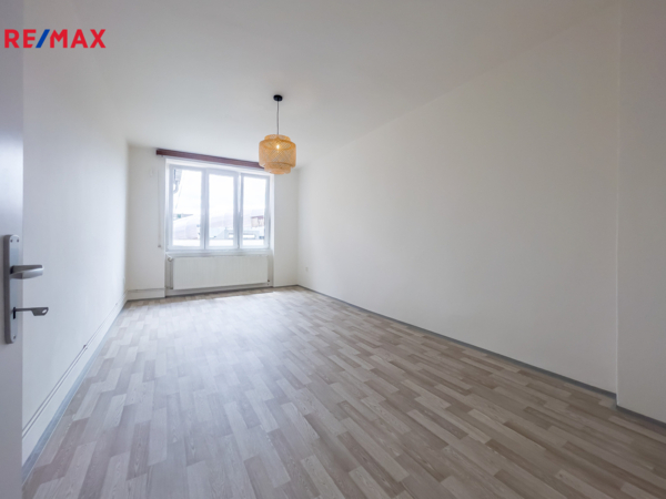 REMAX Delux