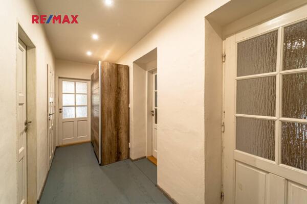 REMAX Delux