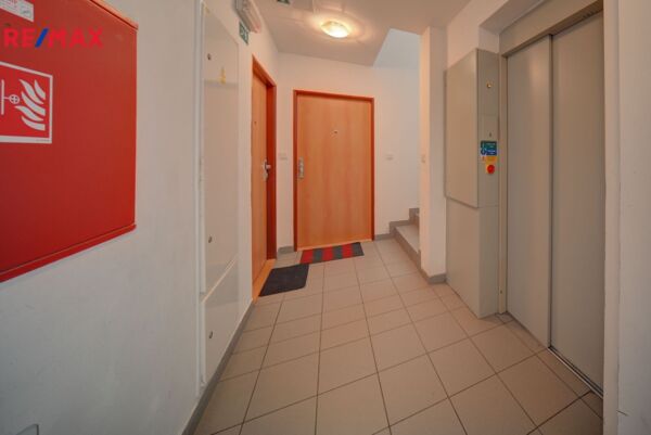 2671340.jpg