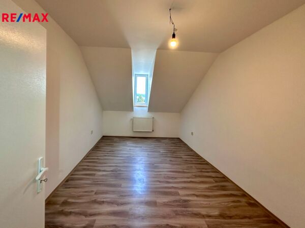 REMAX Delux