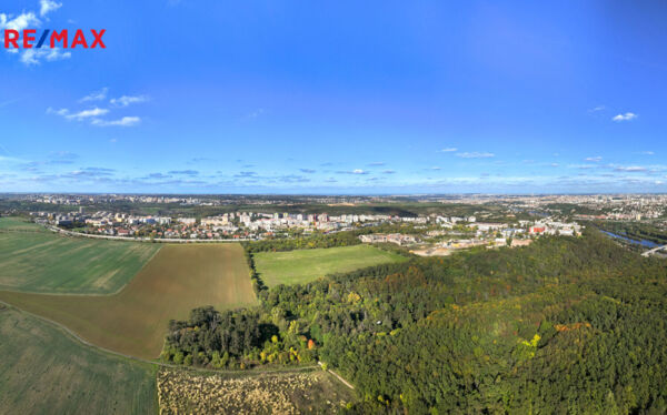 REMAX Delux