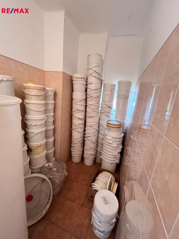 2904354.jpg