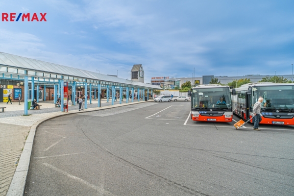 2941437.jpg
