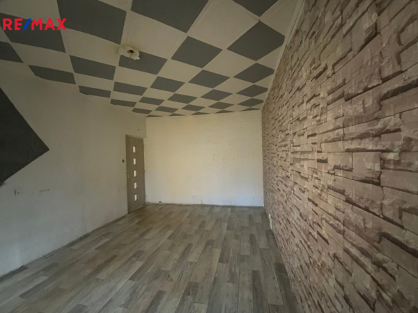 REMAX Delux