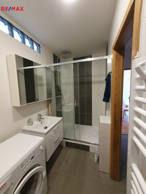 REMAX Delux
