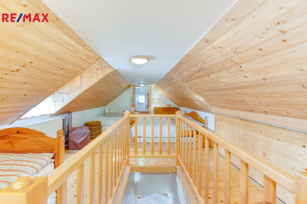 REMAX Delux