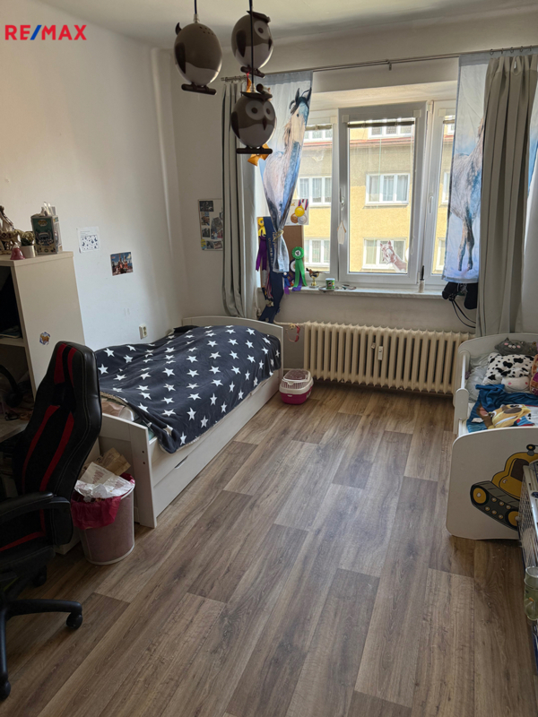 REMAX Delux