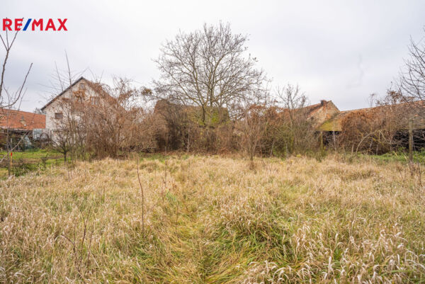 Šanov