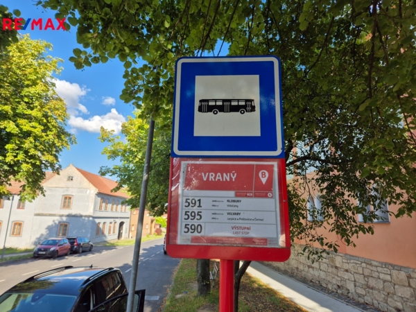 2942501.jpg
