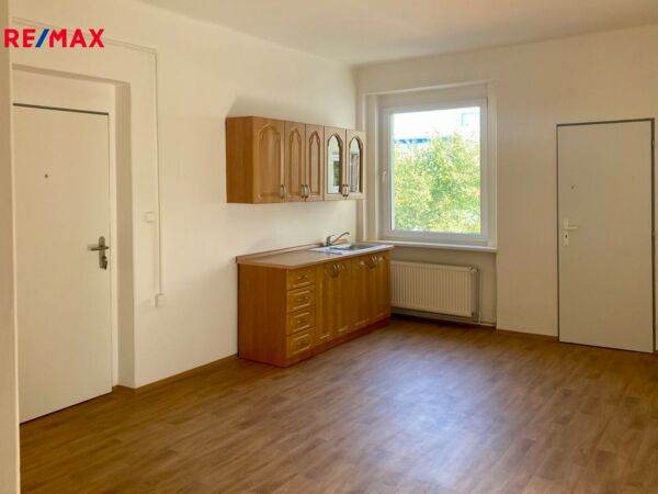 REMAX Delux