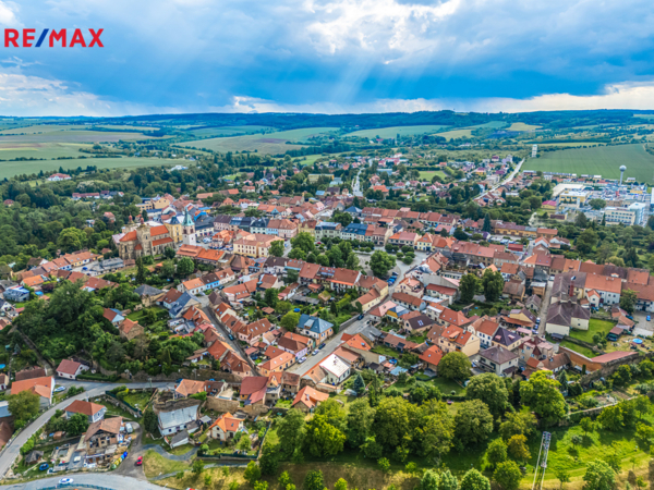 REMAX Delux