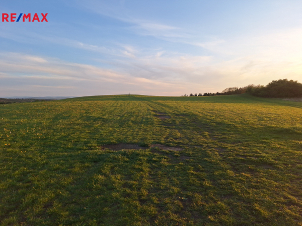 REMAX Brno
