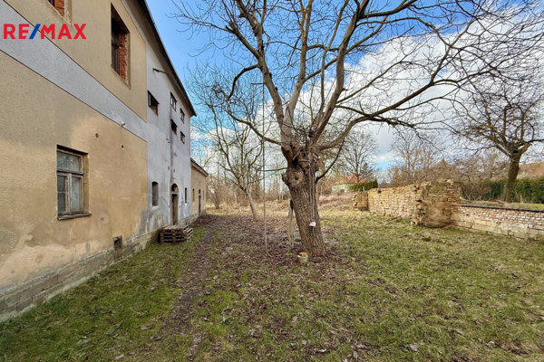 2704473.jpg