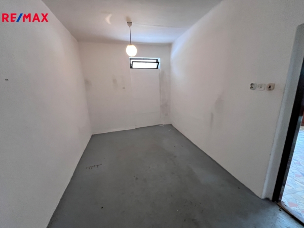 REMAX Delux