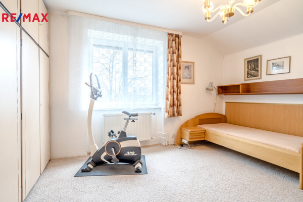 REMAX Delux