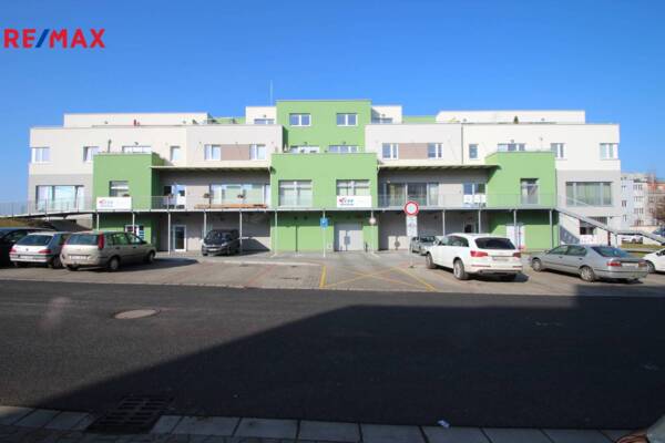 REMAX Delux