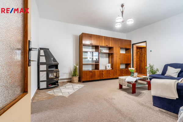 REMAX Delux