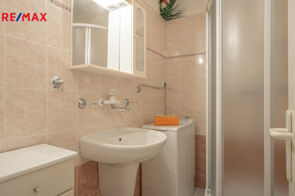 REMAX Delux