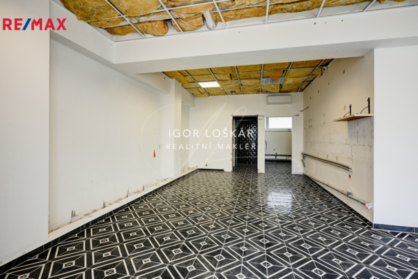 REMAX Delux