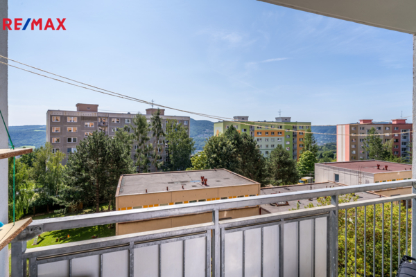REMAX Delux