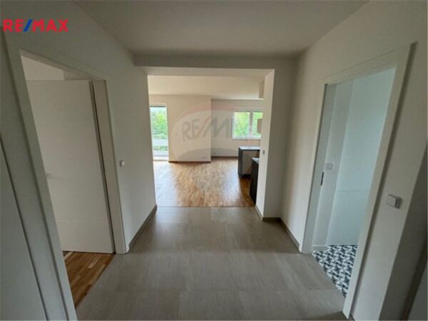 REMAX Delux