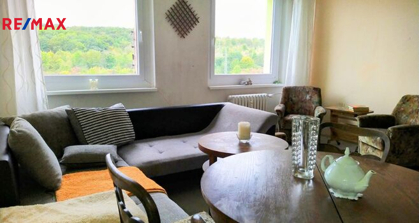 REMAX Delux