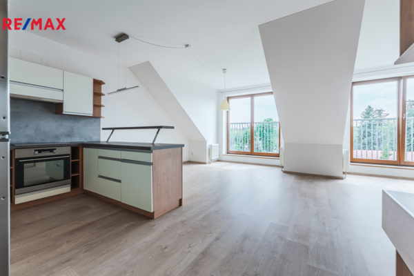 REMAX Delux