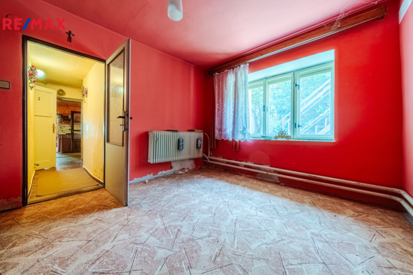 REMAX Delux