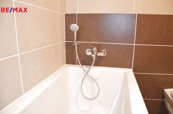 REMAX Delux