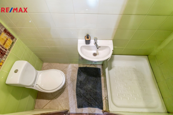 REMAX Delux