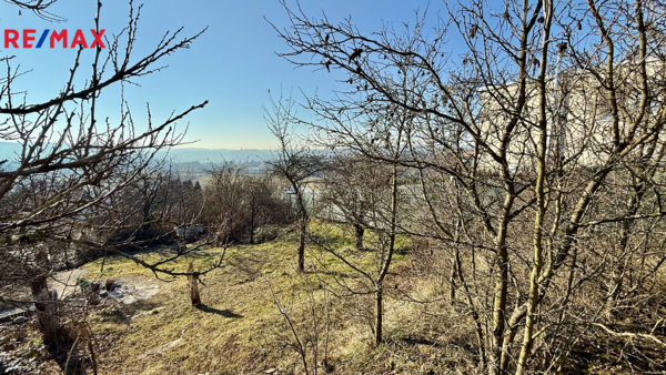 Realitní makléř Brno