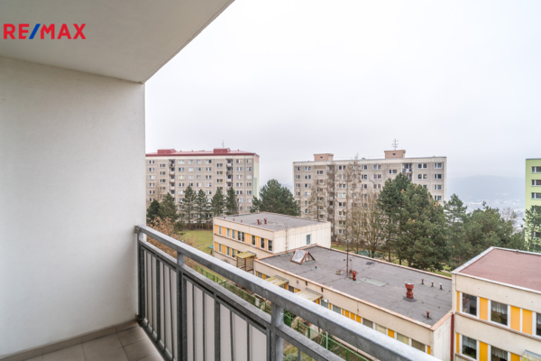 2755033.jpg