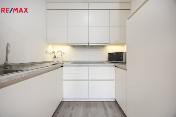REMAX Delux