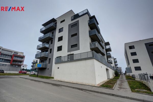 2641480.jpg