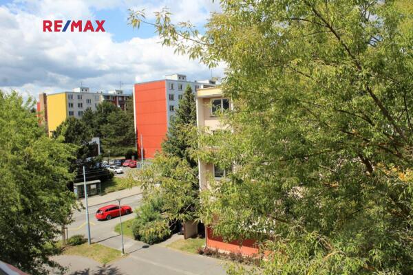 REMAX Delux