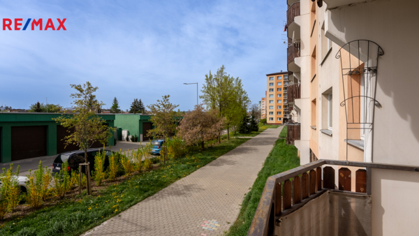2754774.jpg