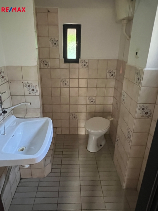 REMAX Delux